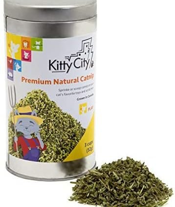 Kitty City Premium Natural Catnip Tin, Brown
