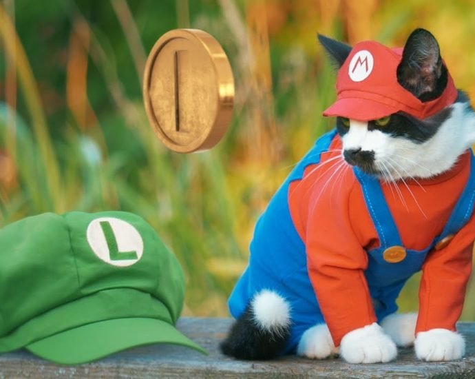 Super Mario Cat Bros.
